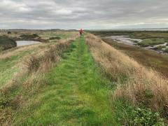 In contrast to the hustle and bustle of Maldon, the walking on day 2 was more remote